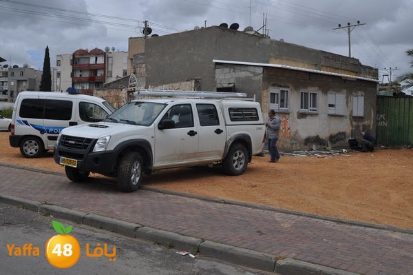 kaneswa7akhdra2lud316 (14).JPG